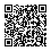 QR code linking to https://deploy-preview-3515--gohugoio.netlify.app/troubleshooting/audit/