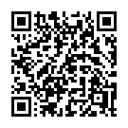QR code linking to https://deploy-preview-3515--gohugoio.netlify.app/functions/debug/dump/